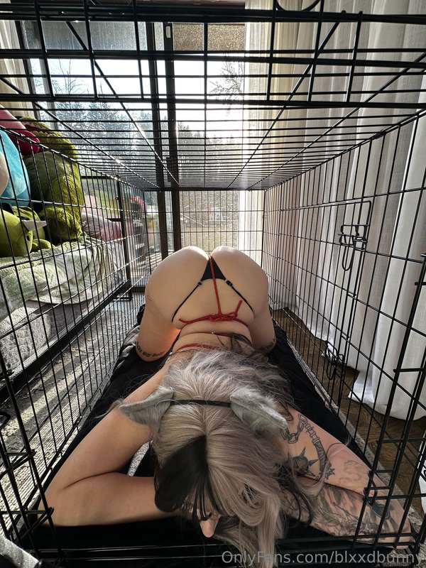 Blxxdbunny - Onlyfans - 22 Jan, 2025 2