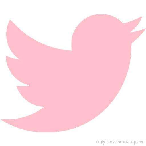 do you follow me on twitter? www.twitter.com/tattqueen <333 ..
