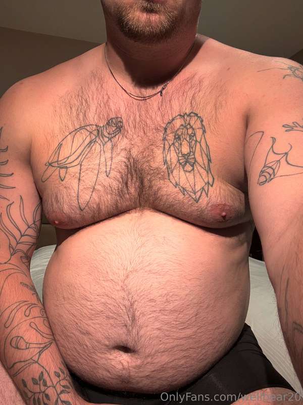 Recent fat updates  5