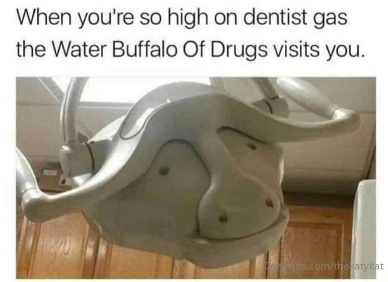 Memes! 9