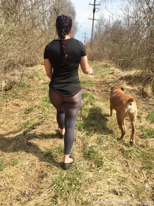 20 more pictures from the dog walk through the neighborhood... 10
