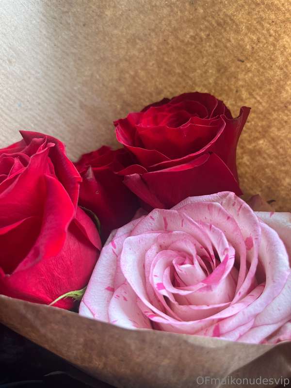 from my BIG fan🌹