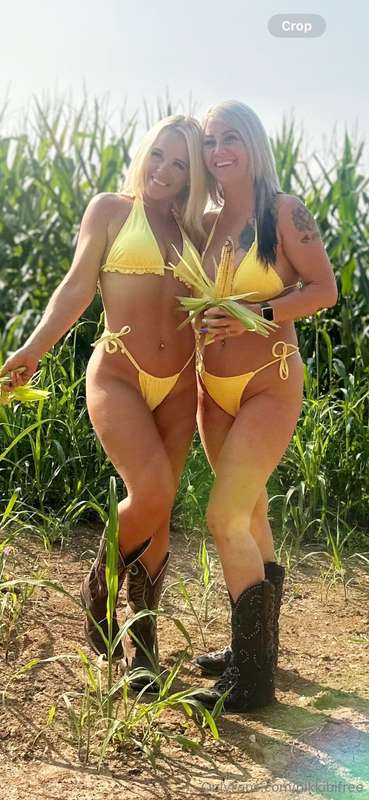 CORN GIRLS ARE IN THE FIELD😍Ever wondered how corn would fee..