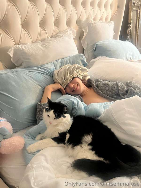 𝗣𝘂𝗿𝗿𝗳𝗲𝗰𝘁𝗶𝗼𝗻 in a picture 🐱