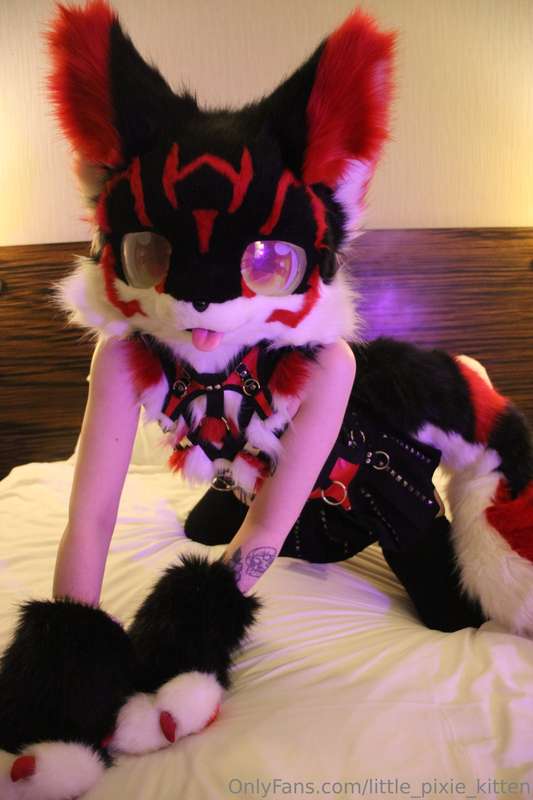 Koji pics in the hotel! ♥️🖤🤍 12
