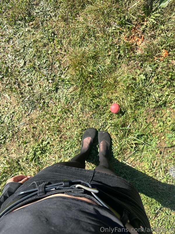 Some moments from fall in New York! Apple picking, visiting .. 15