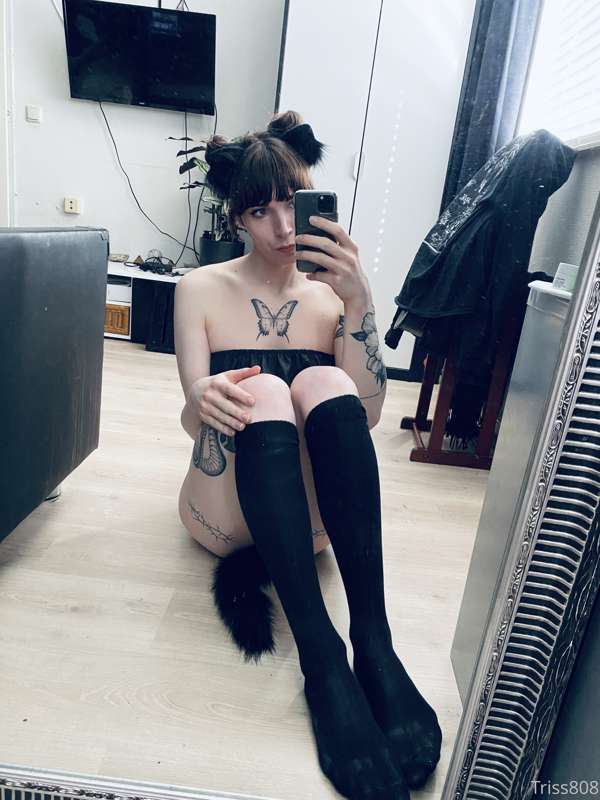 Hi people ❤️

Soo anyone wanna feed this kitty some milk? 🥺
.. 10