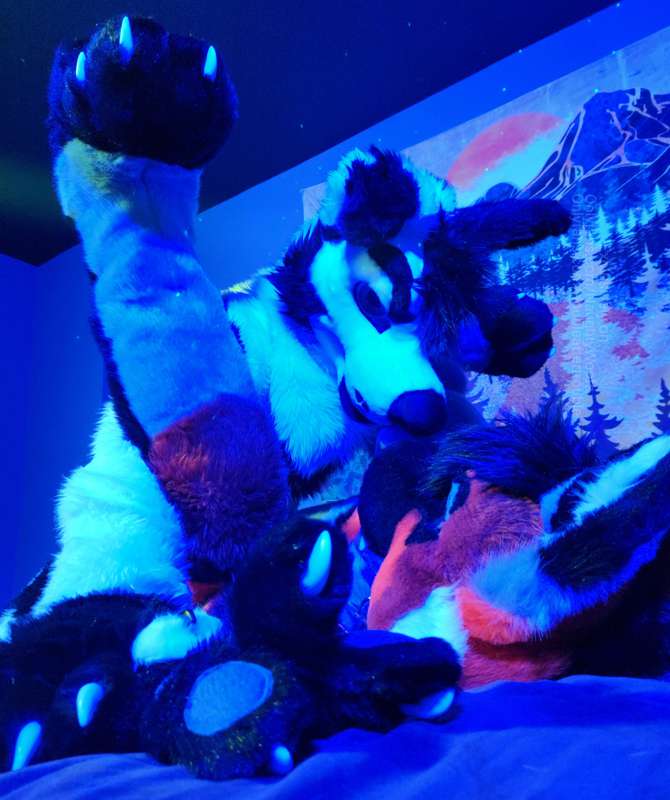Enjoy a few pictures taken with the seductive doggo @doublea.. 1