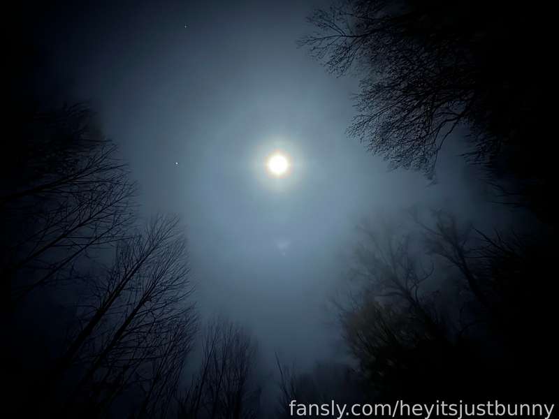 Heyitsjustbunny - Fansly - 16 Nov, 2024
