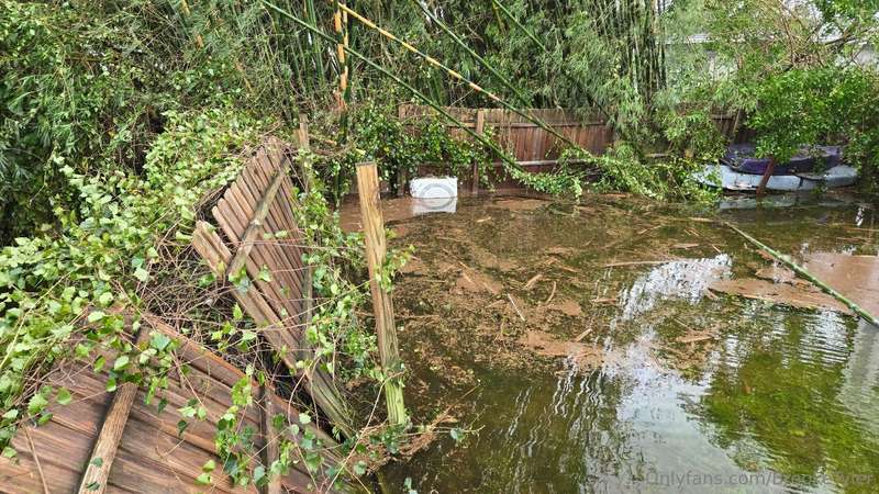 Things went well during the hurricane. I stayed home. Winds .. 1