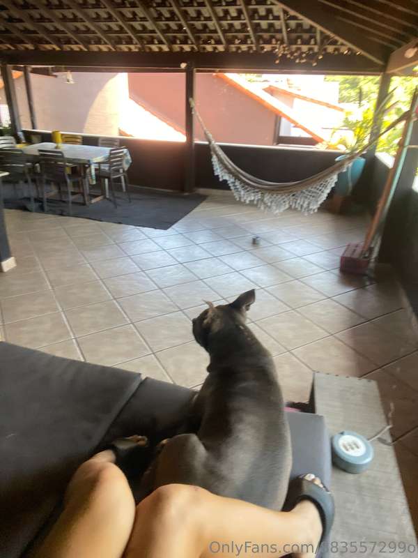 🐶 6