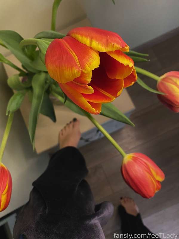 Feetlady - Fansly - 10 Mar, 2023 6