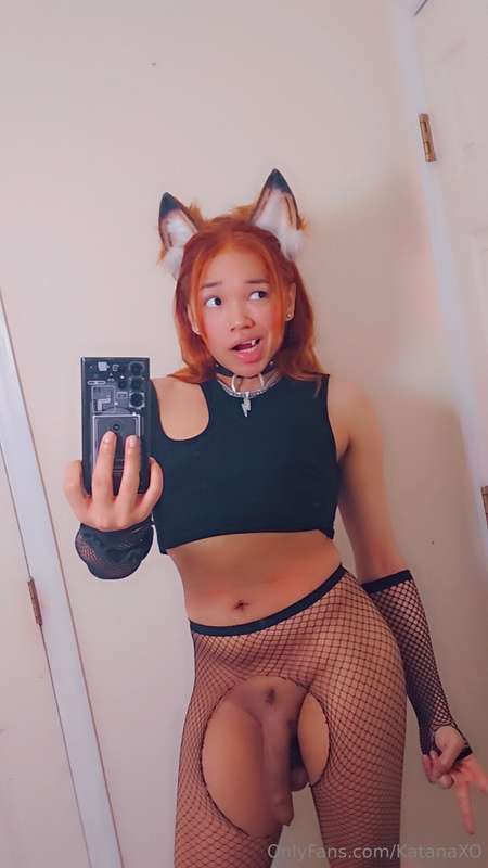XO Love Red Panda Kitty ~ for all my subbies🥰 2