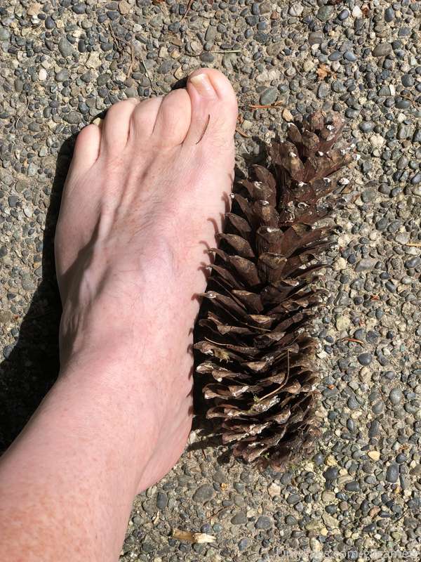 Size 9.5 feet