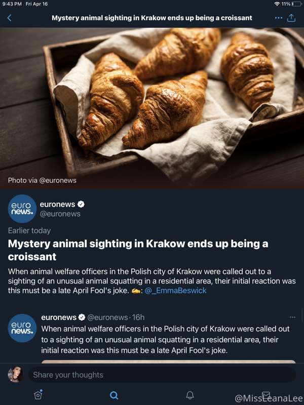 Woman calls police on croissant stuck in tree. 😂
