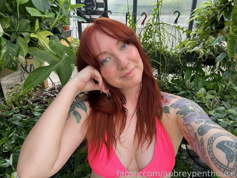 Aubreypenthouse - Fansly - 29 Oct, 2024