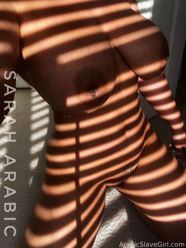 Saraharabic - Fansly - 23 Feb, 2022 6