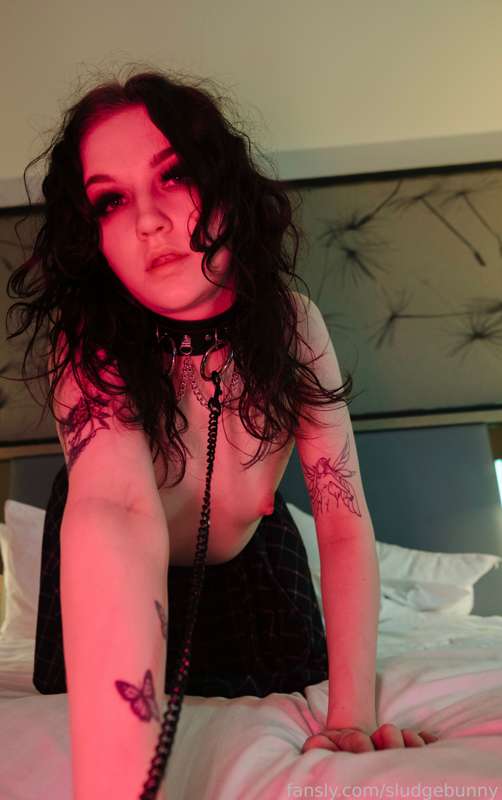 Sludgebunny - Fansly - 01 Feb, 2023 3