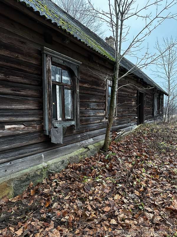 Today my friend and I went searching for a German cemetery f.. 5