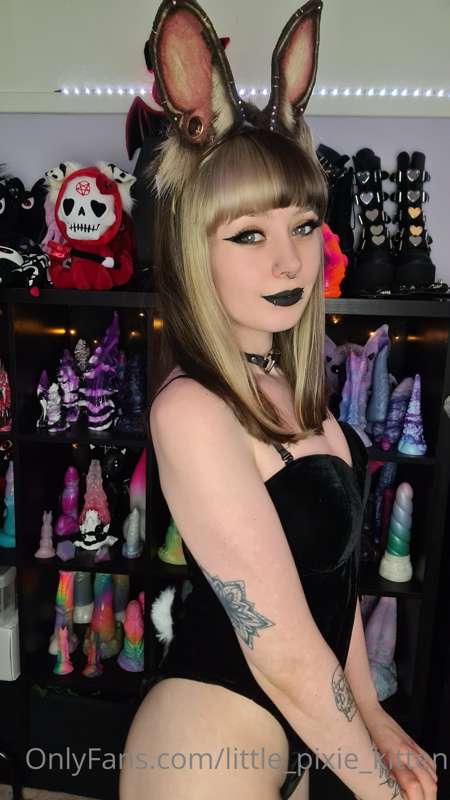 Goth bunny girl 🖤 

I finally got my hair cut and dyed too!