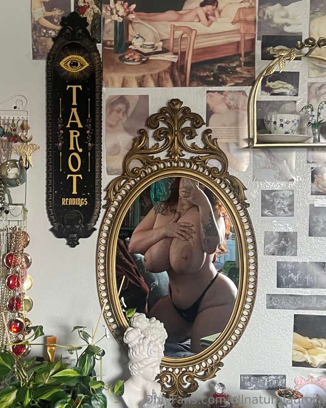 Mirror mirror on the wall who has the biggest titties of the..
