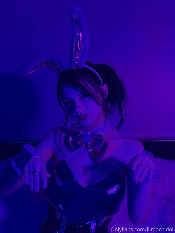 Dva bunny 7