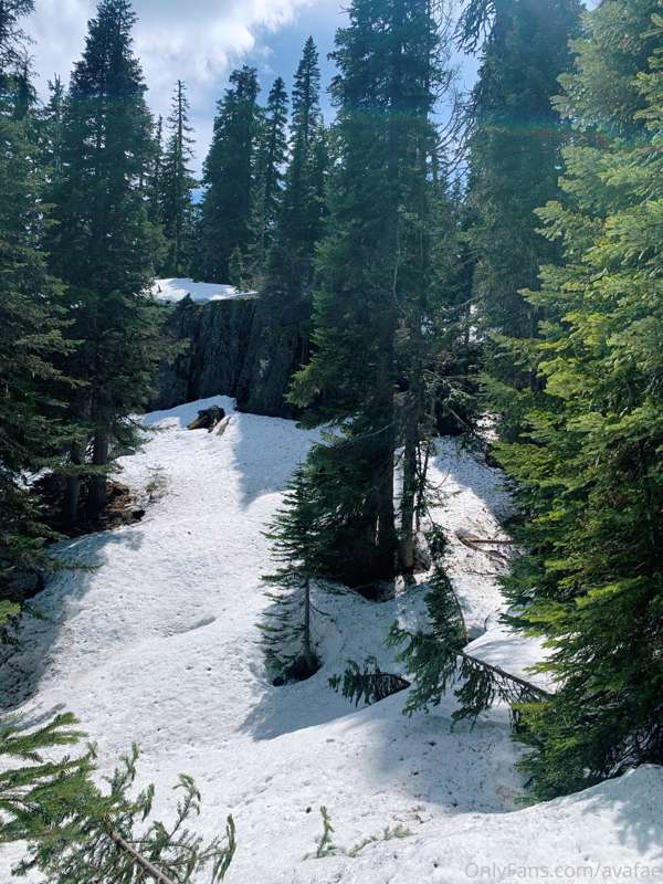 Just got back from running around in the forest for a few da.. 1