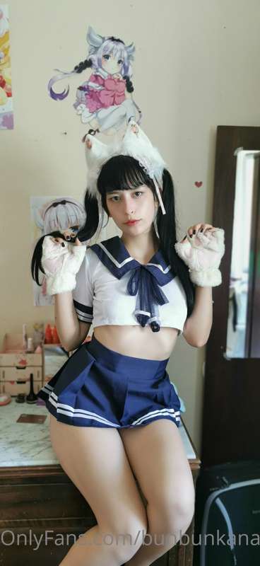 Kitty kitty 6