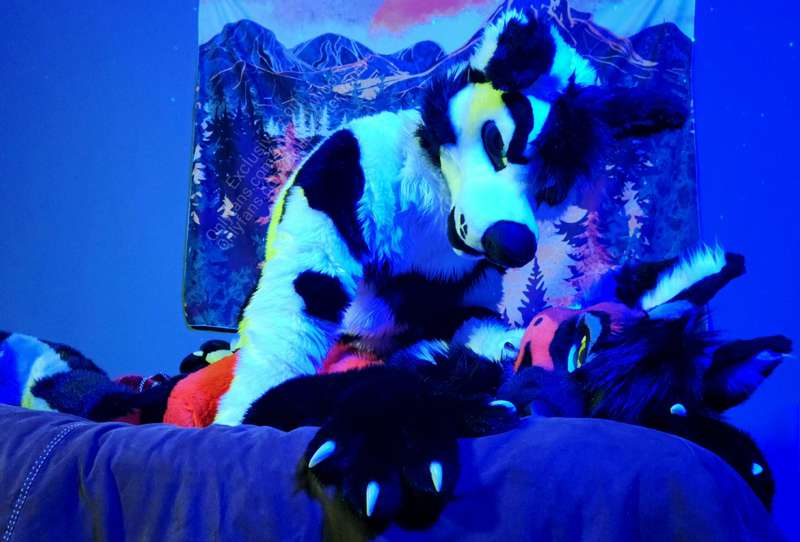 Enjoy a few pictures taken with the seductive doggo @doublea..