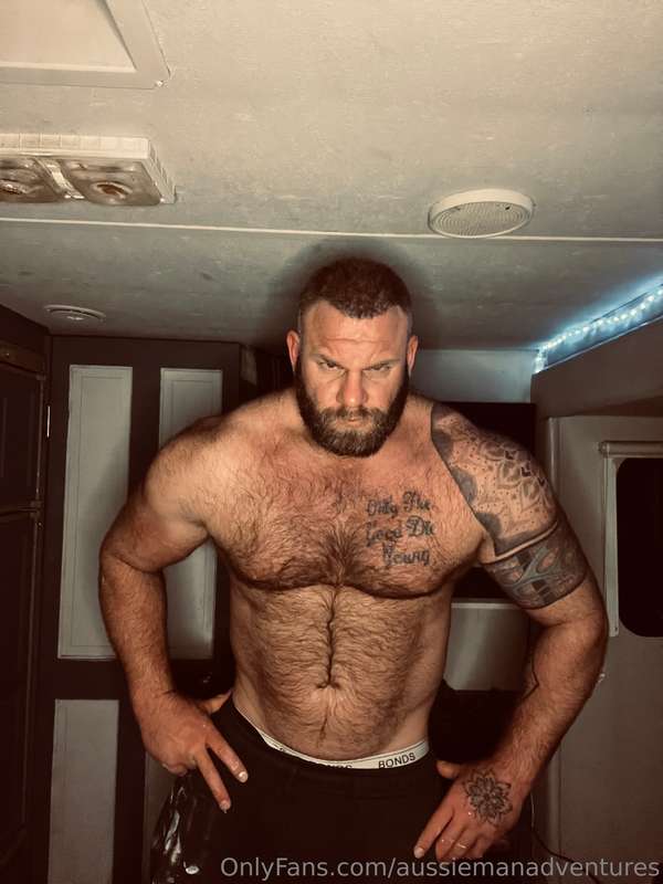 Undress the Aussie Bear 🐻