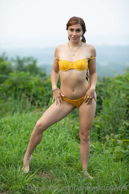Woodland Sunflower. 39