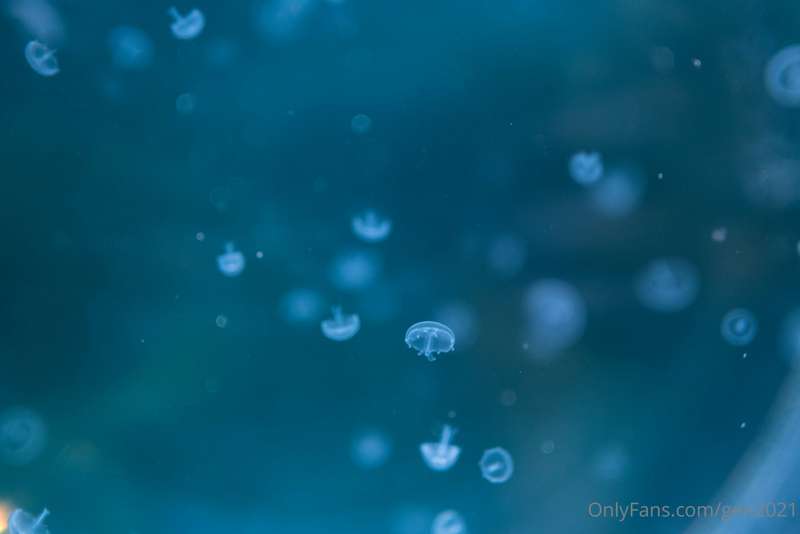 もう３年近く前かー、東京行きたいな～
ちなみに一枚目の写真成田なんですが、豪雨の時だったので成田難民になった時のですｗ
.. 18