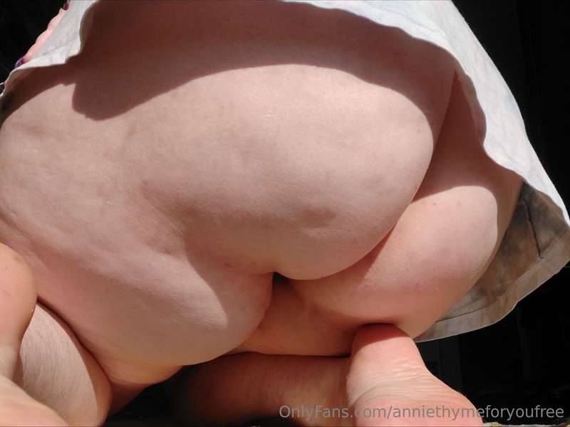 A collection of hot afternoon sunshine hairy pussy and ass p..