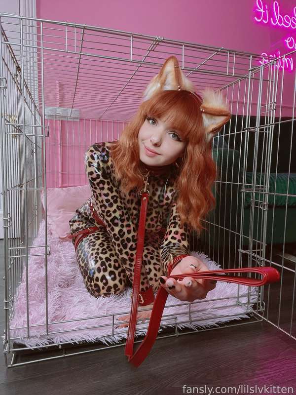 Lilslvkitten - Fansly - 28 Apr, 2025 8
