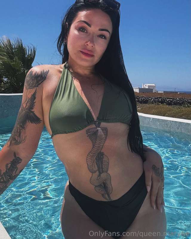 🐚