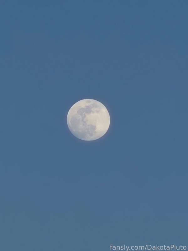 Dakotapluto - Fansly - 26 Mar, 2024 1
