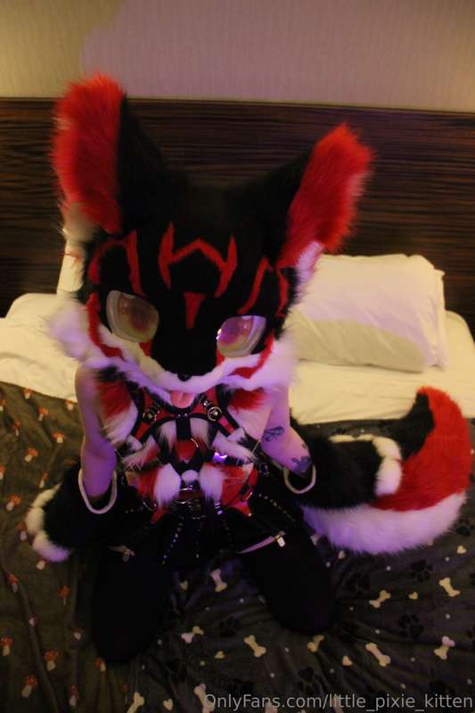 Koji pics in the hotel! ♥️🖤🤍 18