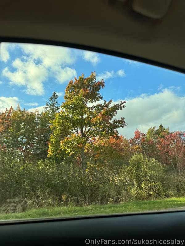 More of my Canada trip ~ it’s slowly trickling out. Hehe! If.. 9