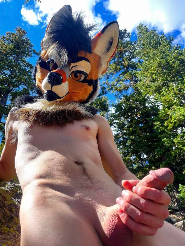 Let's make all the other animals jealous 😏 💦 Featuring @rogu.. 1
