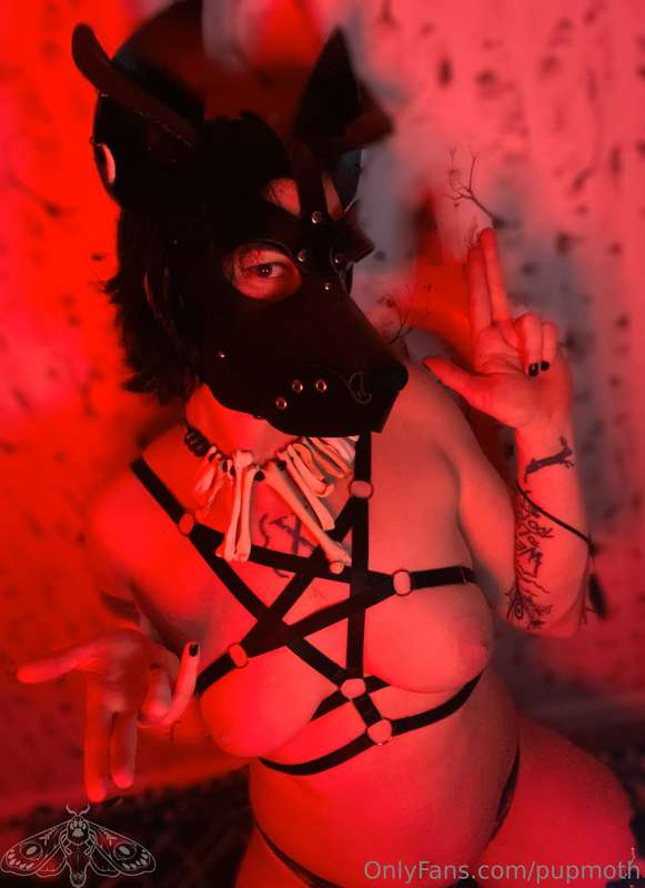 Hail Titty Tuesdays