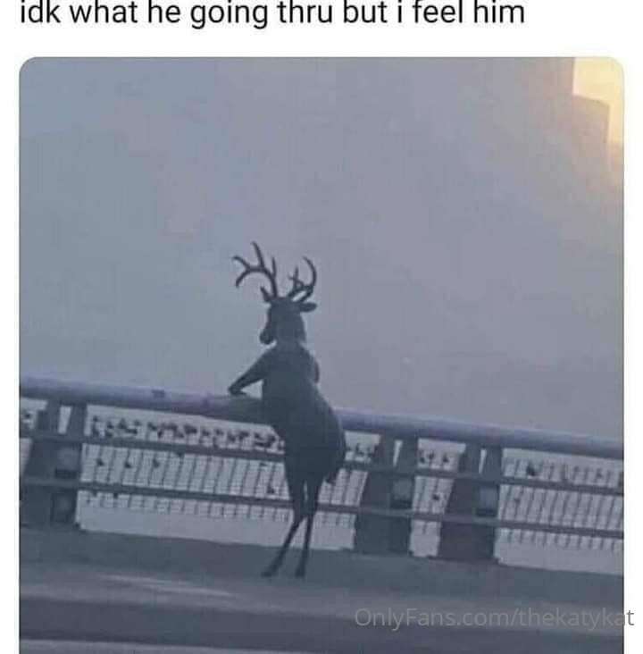Time for your Meme Lord to deliver.  Enjoy! 11