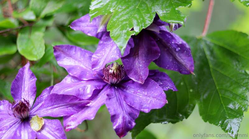 As the cover photo suggests, today I have just a few boring .. 8
