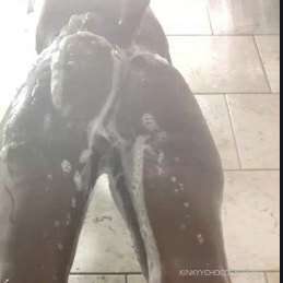 Like like like to show your active for a shower stream in an..