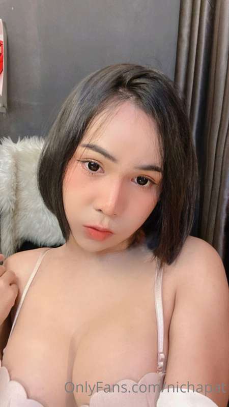 @dream.vip