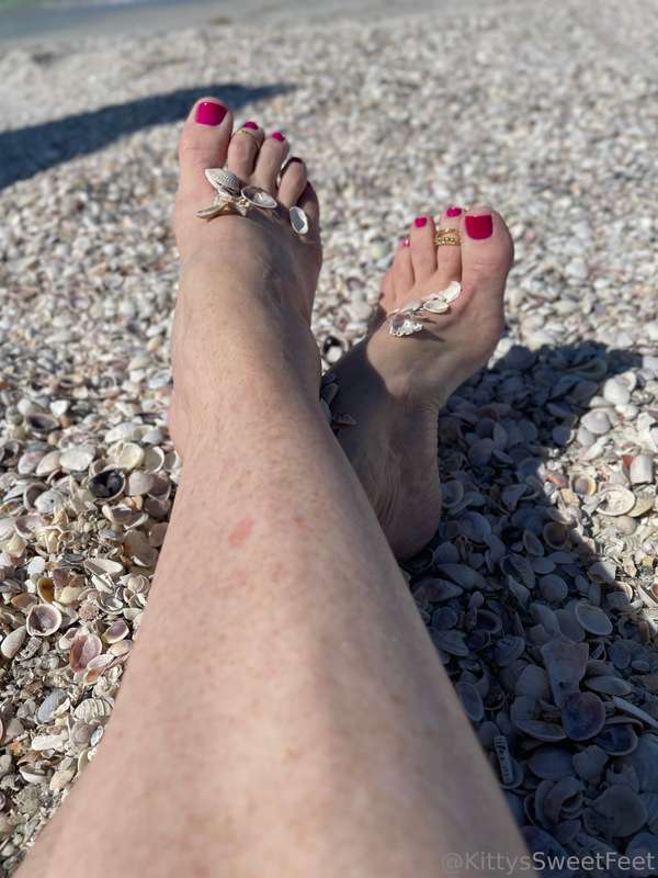 I love all these tiny little shells on the beach.  9