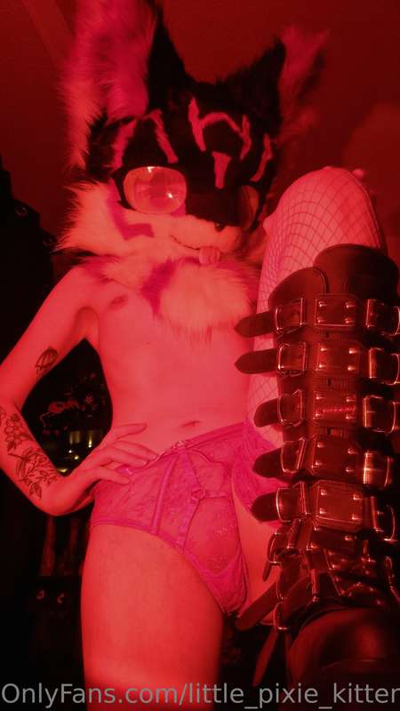 Some more furry pics 🐾 5
