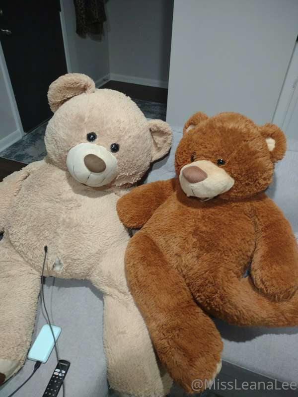 Coming out soon. Erotic teddy bear DP vid. 1