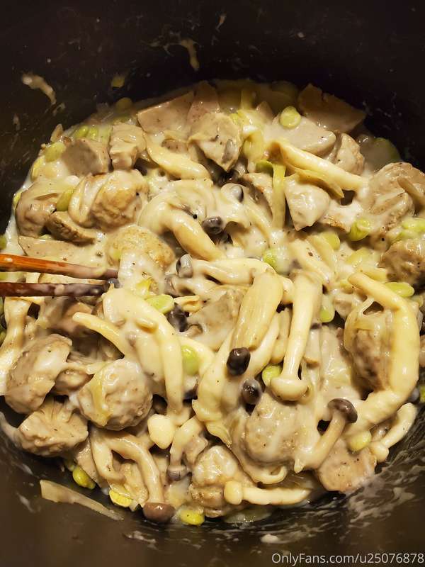 Turkey Meatball and Cream of Mushroom 2