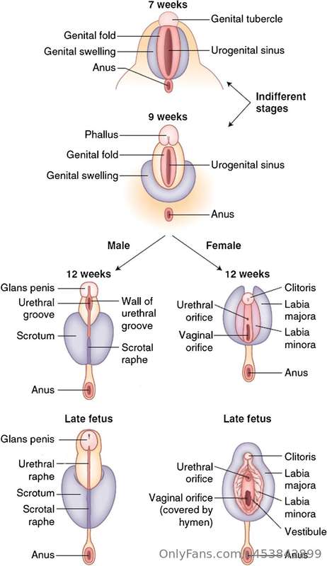 Finally, the long-awaited post about masturbation. Many have.. 4