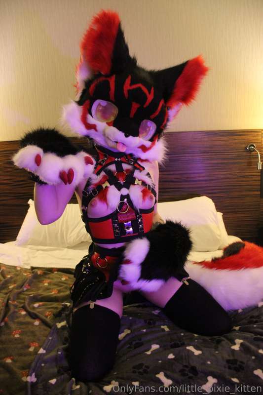 Koji pics in the hotel! ♥️🖤🤍 17